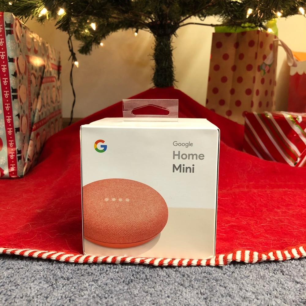 Coral Google Home Mini